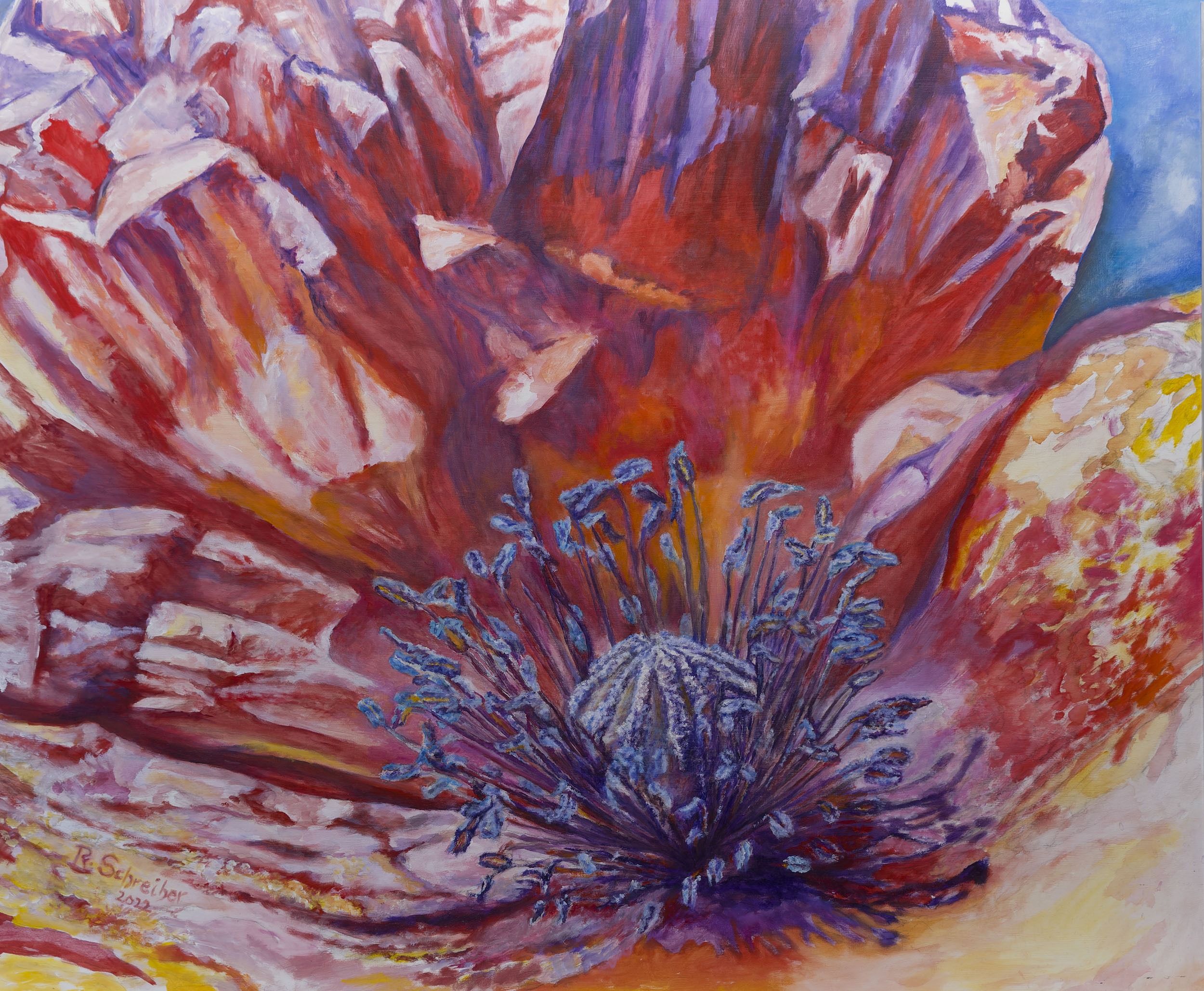 Klatschmohn, 2022, Acryl 100x120cm, zu sehen im Saalbau in Neustadt a.d. Weinstraße